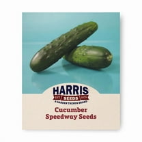 Cucumber Speedway F1 Seed