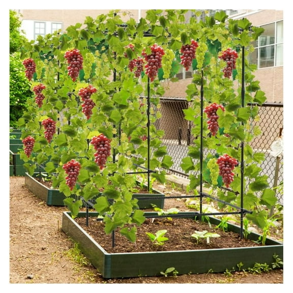 Cucumber Trellis A-Frame for Climbing Plants, Garden Netting Kit - Black Metal Plant Support for Vegetables, Flowers, Tomatoes, Grapes - Adjustable Triangular/Square Shape, 41"x43"x59"
