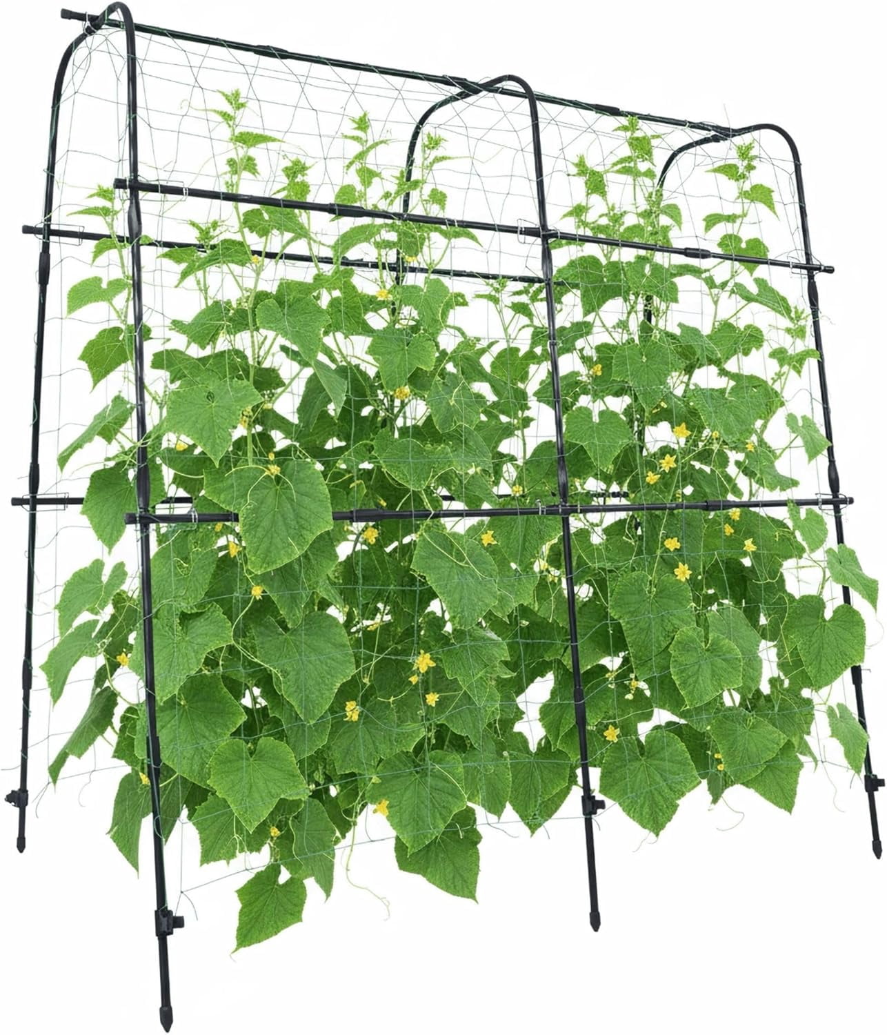 Cucumber Trellis Arch 5.3FT Black PP Coated Stainless Steel Garden Arch Trellis for Climbing Plants Outdoor, Garden Vegetable Trellis for Climbing Plants with Netting