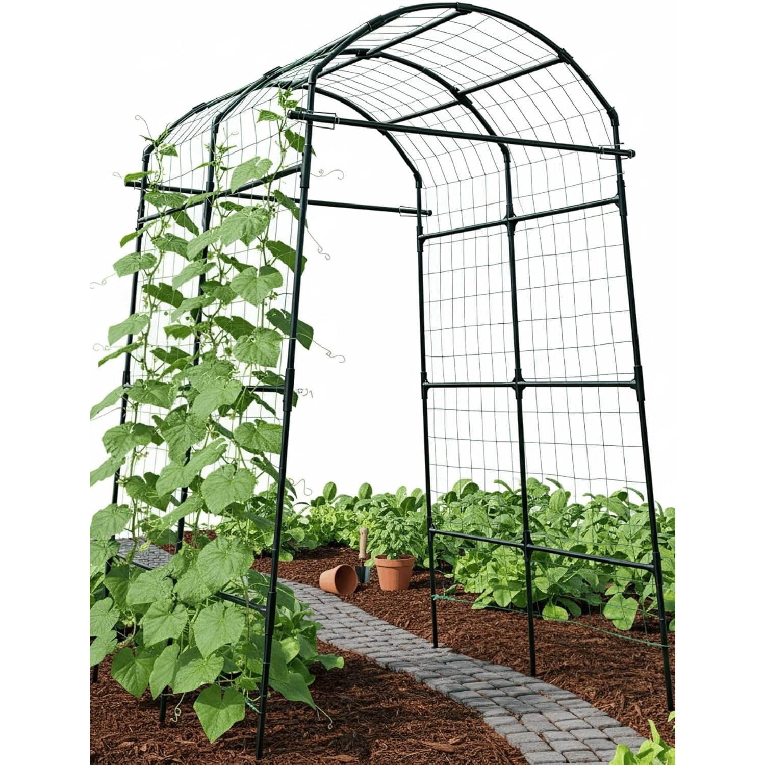 Cucumber Trellis Arch Black PP Coated Stainless Steel Garden Arch Trellis for Climbing Plants Outdoor, Garden Vegetable Trellis for Climbing Plants with Netting