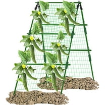 Cucumber Trellis,Garden Trellis,Cucumber Trellis for Raised Bed,Cucumber Trellis for Pots,Garden Support Frame Cucumber Frame Supports Green for Cucumber(Green 48*16in)from ANMUYUM