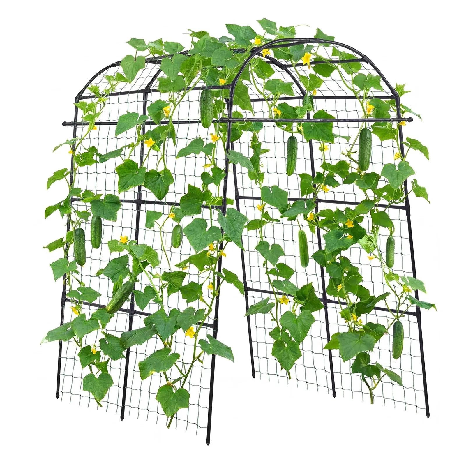 Cucumber Trellis, U-Shape Garden Trellises for Raised Bed, Metal Arch Plant Support for Vine, Climbing Plants Outdoor, Peas, Beans, Zucchini, Tomato, Squash, Flower