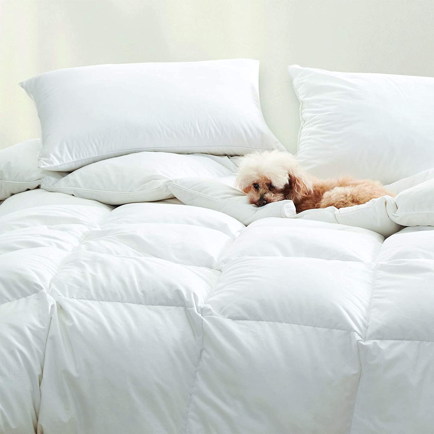 Cuddledown Dreamstead Percale Down Alternative Comforter | All Season | King Size 107" x 92" | Hypoallergenic & Oeko-TEX Standard 100 Certified | Soft, Lofty, Cloudlike | Handcrafted Duvet Insert