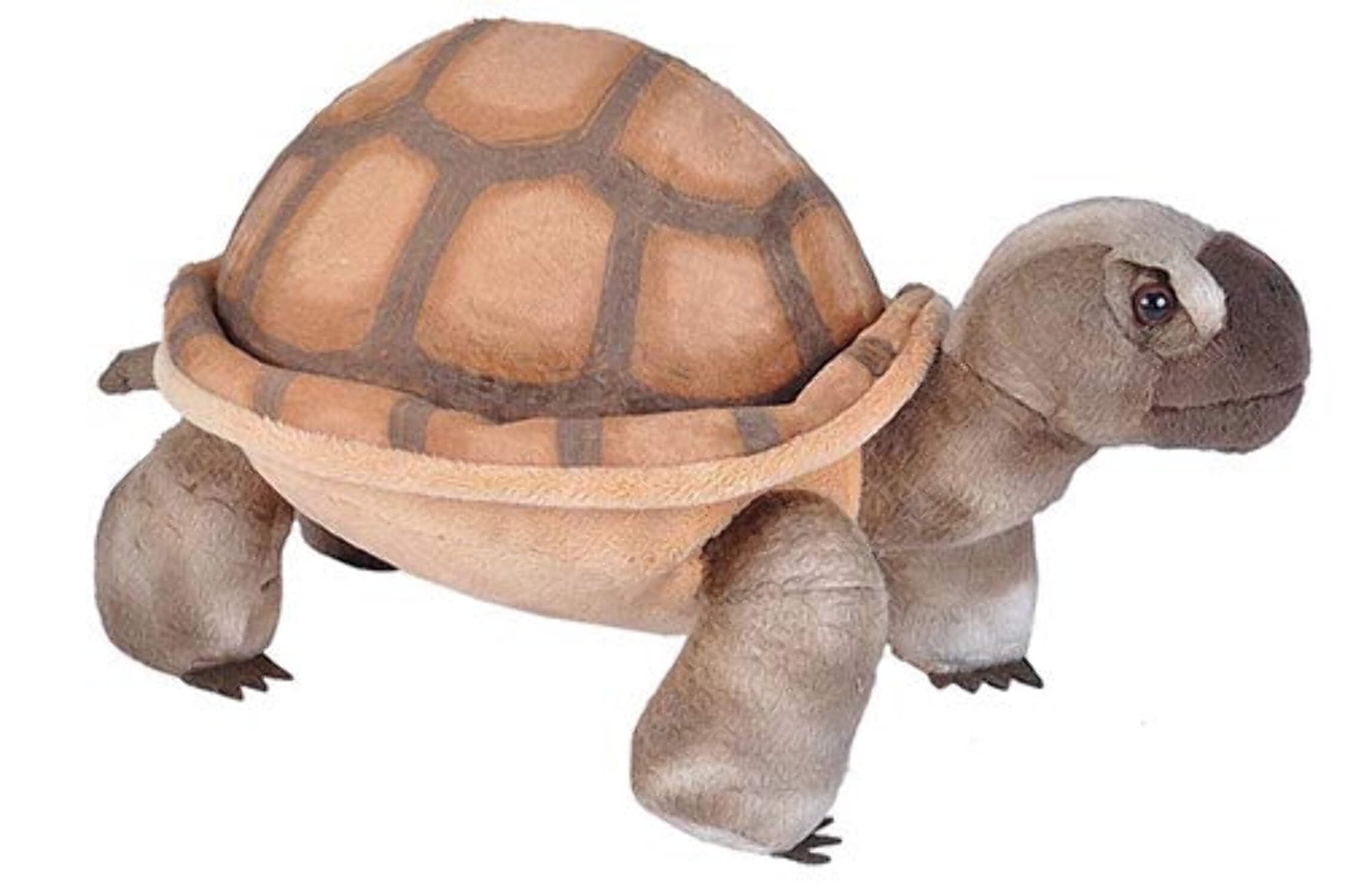 Cuddly tortoise outlet