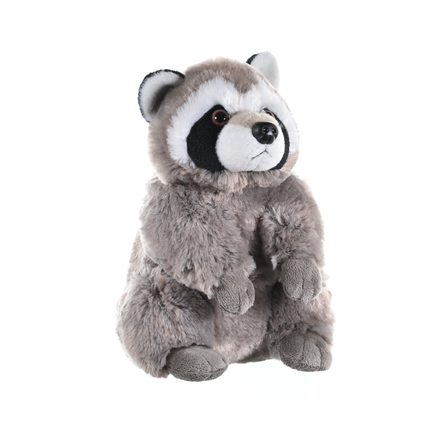 racoon 61U7URM5OBL.jpg_BO30,255,255,