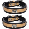 thumbnail image 1 of CueCue Pet Bone Fashion Dog Collar, Black, M (2 Pack), 1 of 6