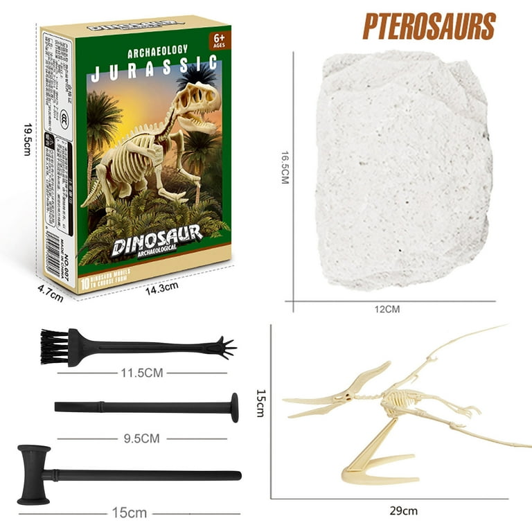 Dig up dinosaur bones 2024 toy