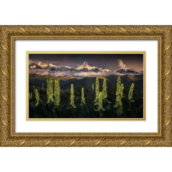 Cui, Yuan 14x10 Gold Ornate Wood Framed with Double Matting Museum Art Print Titled - Rheum Nobile Hook At The Foot Of Snow Mountain
