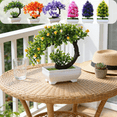 thumbnail image 1 of CuiLiyq Artificial Bonsai Tree, Simulation Plastic Plants, Indoor Small Fake Plants Decor, Garden Desk Home Desktop Office Bathroom Shelf Bedroom Living Room Decoration, 1 of 6