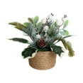 thumbnail image 1 of CuiLiyq Artificial Christmas Potted Plants, Fake Plants Small Xmas Trees Floral Arrangement Bonsai with Holly Leaves and Berries, for Home Indoor Holiday Party Xmas Decor, 1 of 6