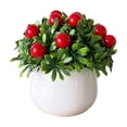 thumbnail image 1 of CuiLiyq Fake Mini Plants, Artificial Potted Plants, Faux Decorative Grass Plant with White Pot, for Porch Patio Thanksgiving or Autumn Home Decor, 1 of 6
