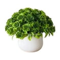thumbnail image 1 of CuiLiyq Fake Mini Plants, Artificial Potted Plants, Faux Decorative Grass Plant with White Pot, for Porch Patio Thanksgiving or Autumn Home Decor, 1 of 6