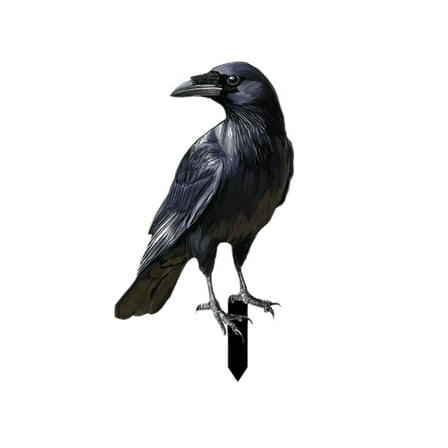 CuiLiyq Halloween Decor Crow, Large Black Feathered Standing Crows, for Halloween Decor Birds, Fake Raven Decor for Yard Tree Garden Patio