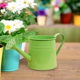 thumbnail image 1 of CuiLiyq Mini Watering Can, Metal Flower Garden Watering Can, Small Watering Can for Indoor Plants, Gardening Tool Accessories for Outdoor Indoor Lawn Garden Home, 1 of 9