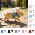 thumbnail image 1 of CuiLiyq Rabbit Leash and Harness Set, Pet Traction Rope and Vest Harness for Rabbit Guinea Pig, Breathable Mesh with Adjustable Straps (Blue), 1 of 6