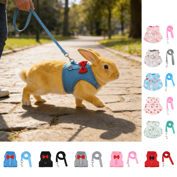 CuiLiyq Rabbit Leash and Harness Set, Pet Traction Rope and Vest Harness for Rabbit Guinea Pig, Breathable Mesh with Adjustable Straps (Blue)