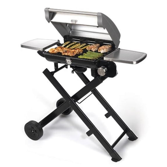 Cuisinart CGG-240 All Foods Foll-Away Gas Grill