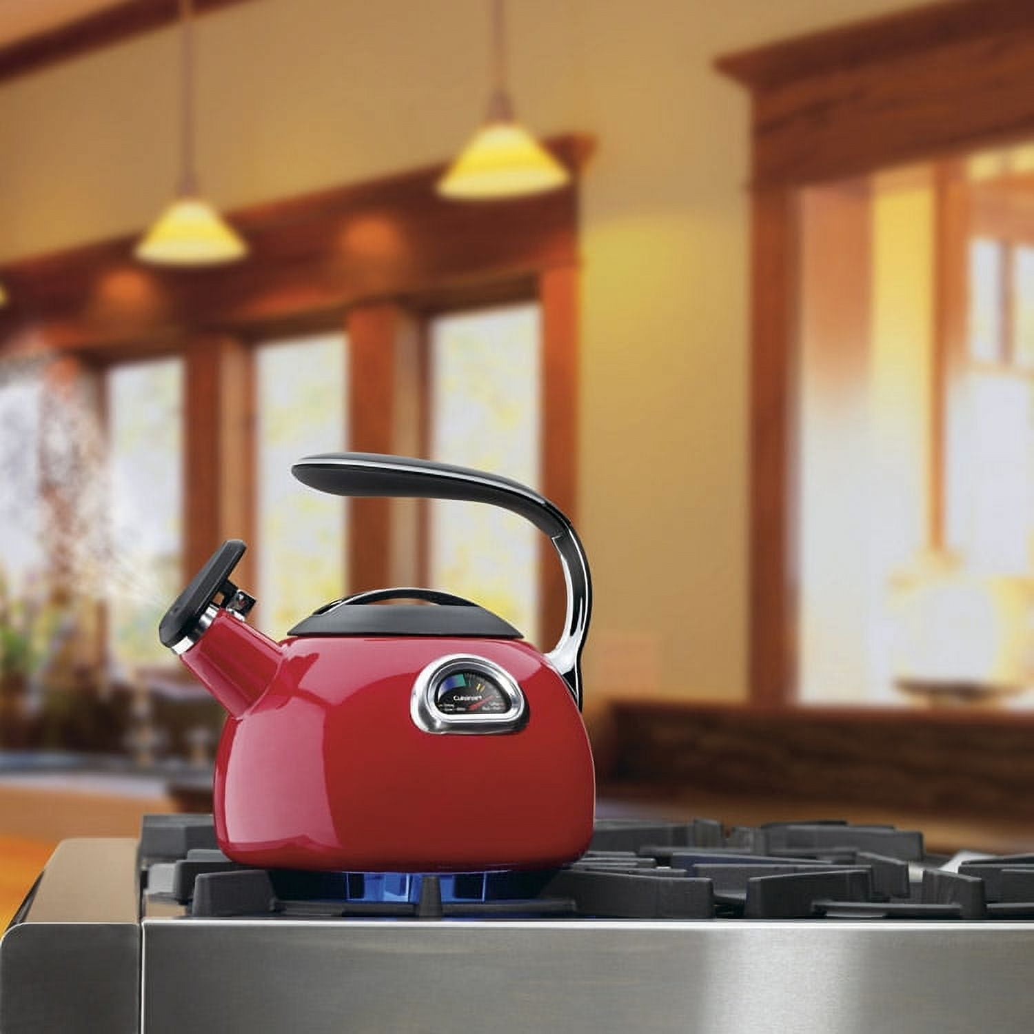 Cuisinart Porcelain Enamel on Steel Teakettles PerfecTemp® Teakettle