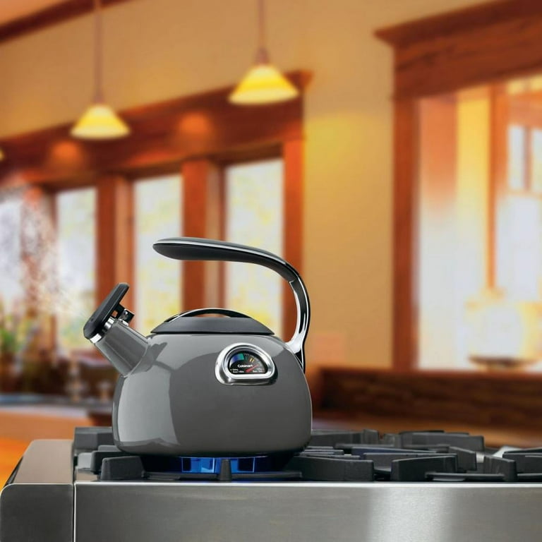 Cuisinart perfectemp tea kettle deals