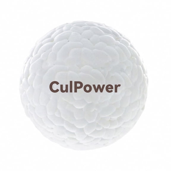 CulPower Dog Toys, Dog Balls Toys,Durable Solid Rubber Ball for Training (2 PCS)