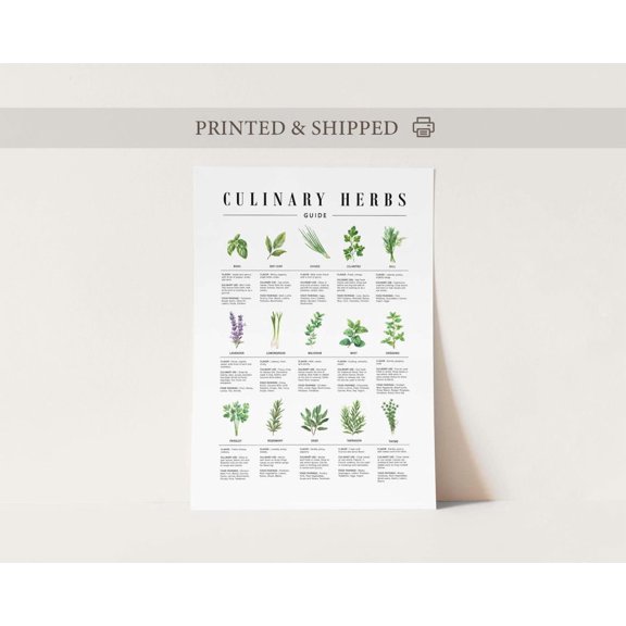 Culinary Herb Guide Print, Unframed Paper Poster 8x10in