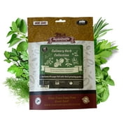Culinary Herb Seed Collection - 100% NON-GMO, Easy-to Grow Heirloom Seeds - from a REAL Seed Company!