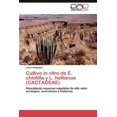 thumbnail image 1 of Cultivo in Vitro de E. Chiotilla y L. Hollianus (Cactaceae) (Paperback), 1 of 1