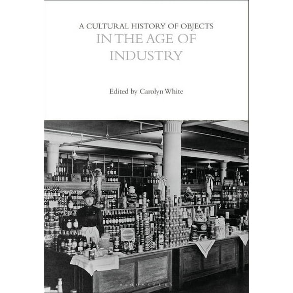 Cultural Histories: A Cultural History of Objects in the Age of Industry (Paperback)