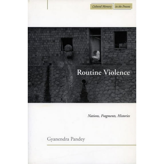 Cultural Memory in the Present: Routine Violence : Nations, Fragments, Histories (Hardcover)