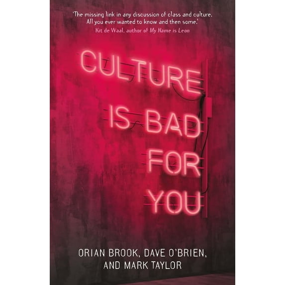 Culture Is Bad for You: Inequality in the Cultural and Creative Industries, (Hardcover)