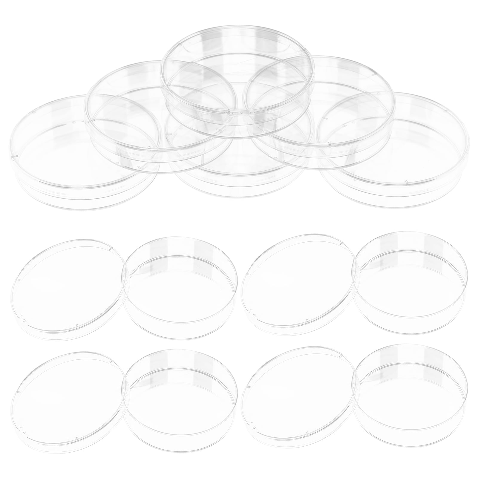 Culture Plate Agar Petri Dish Science Experiment Lab Dishes Container