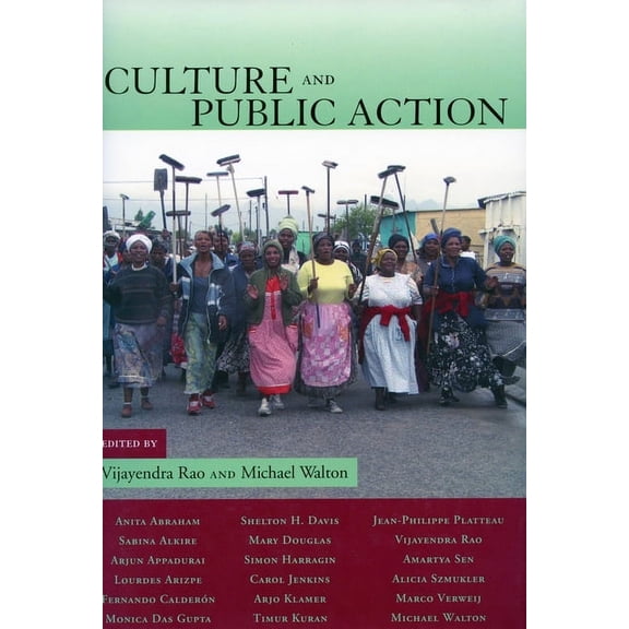 Stanford Social Sciences Culture and Public Action, (Hardcover)