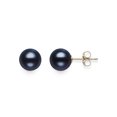 thumbnail image 1 of Cultured Freshwater Black Pearl AAA Quality Stud Earring in 14KT Yellow Gold, 1 of 4