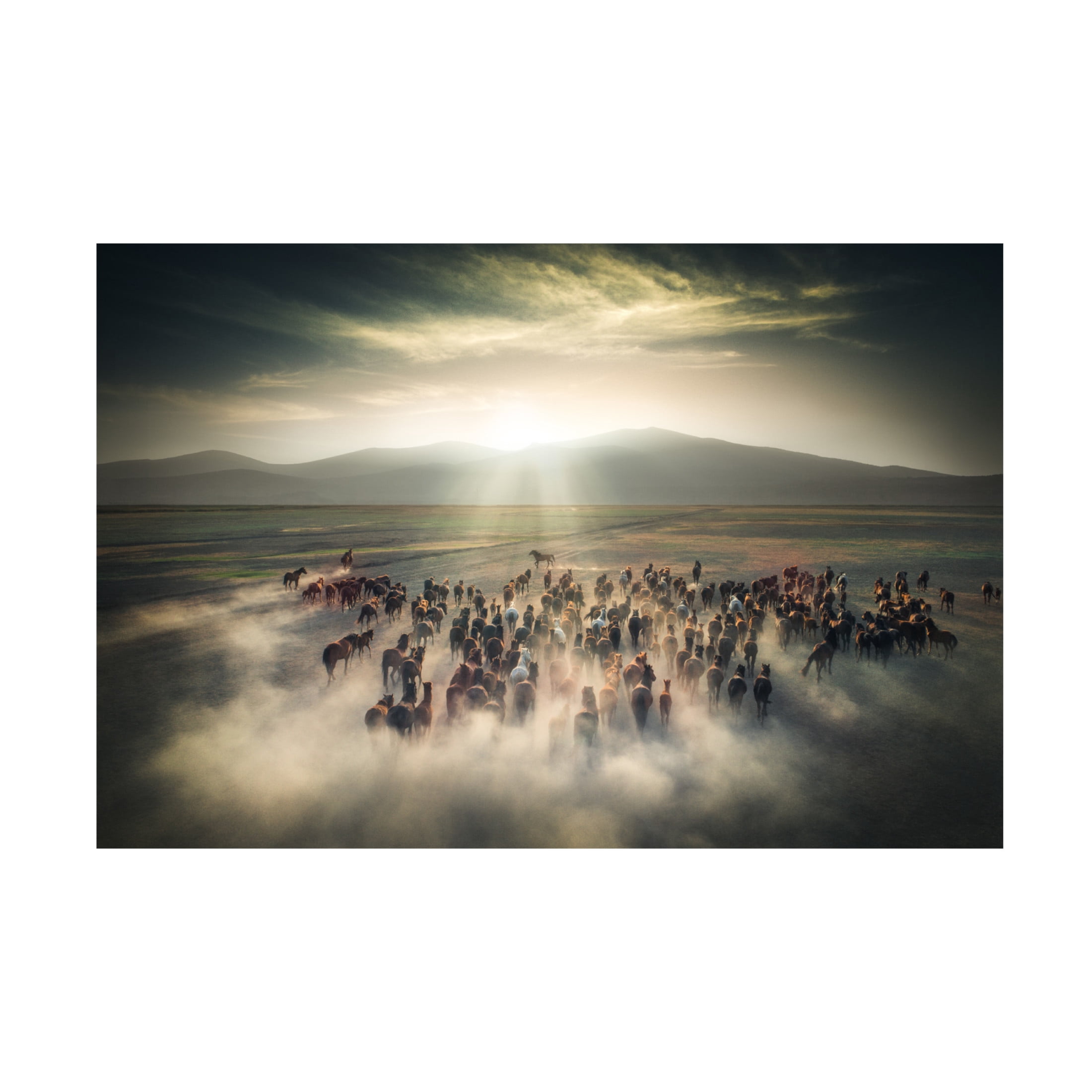 Cuma Cevik 'Wild Horses' Canvas Art - 19 x 12 Inches