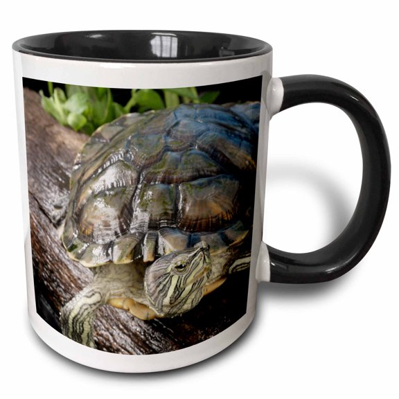 3drose, Cumberland Slider Turtle - Us43 Mpr0012 - Maresa Pryor, 11oz Two-tone Black Mug