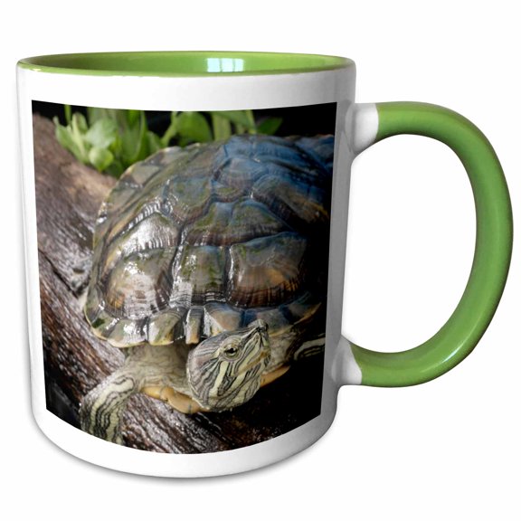 3drose, Cumberland Slider Turtle - Us43 Mpr0012 - Maresa Pryor, 11oz Two-tone Green Mug