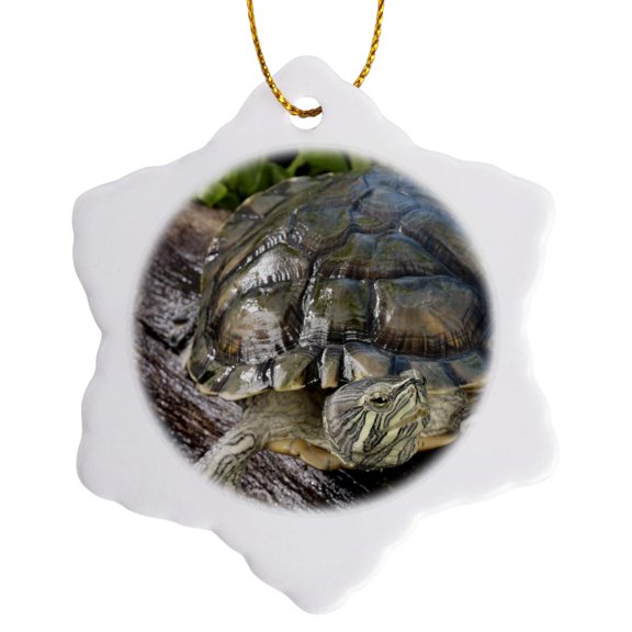 3drose, Cumberland Slider Turtle - Us43 Mpr0012 - Maresa Pryor, 3 inch Snowflake Porcelain Ornament