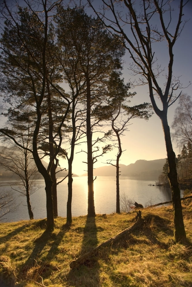 Cumbria England Lake Scenic At Sunrise Canvas Art - John Short  Design Pics (12 x 18)