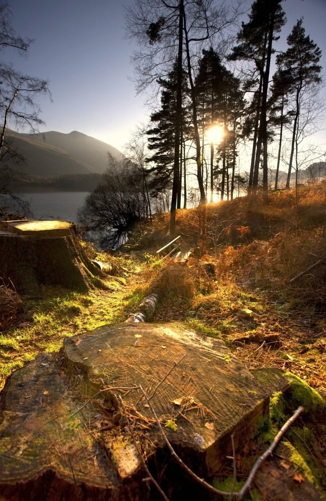 Cumbria England Lake Scenic At Sunrise Canvas Art - John Short Design Pics (22 x 34)