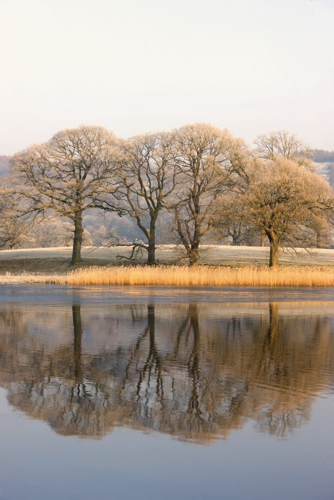 Cumbria England Lake Scenic With Autumn Trees Reflected In Water Canvas Art - John Short Design Pics (12 x 18)