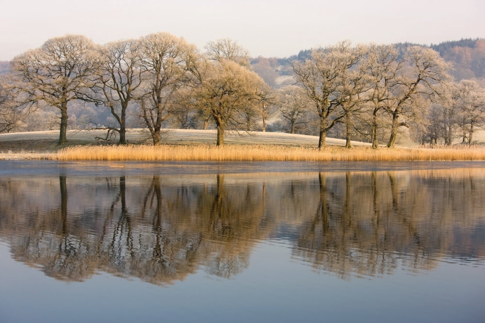 Cumbria England Lake Scenic With Autumn Trees Reflected In Water Canvas Art - John Short Design Pics (36 x 24)