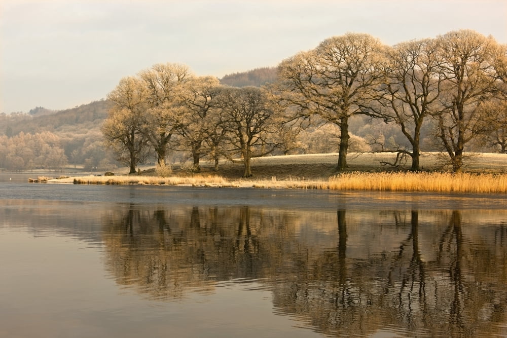 Cumbria England Lake Scenic With Autumn Trees Reflected In Water Canvas Art - John Short Design Pics (36 x 24)