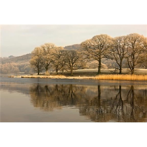 Cumbria England - Lake Scenic with Autumn Trees Reflected in Water Poster Print, Large - 36 x 24