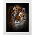 thumbnail image 1 of Cumming, Jim 12x14 White Modern Wood Framed Museum Art Print Titled - Portrait Of A Siberian Tiger, 1 of 4