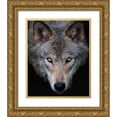 thumbnail image 1 of Cumming, Jim 20x24 Gold Ornate Wood Framed with Double Matting Museum Art Print Titled - All The Better To See You - Timber Wolf, 1 of 4