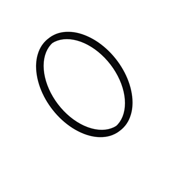 Cummins 3954829 Thermostat Seal