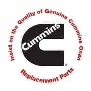 CUMMINS NW 3005333