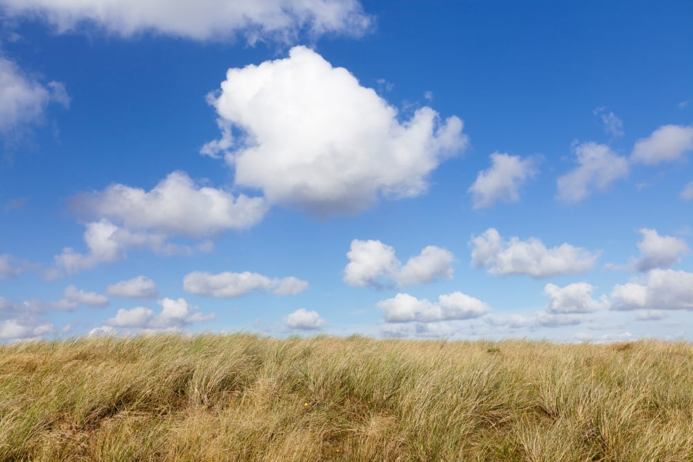 Cumulus clouds and dune landscape Ellenbogen Sylt Nordfriesland Schleswig-Holstein Germany Canvas Art - Panoramic Images (27 x 9)