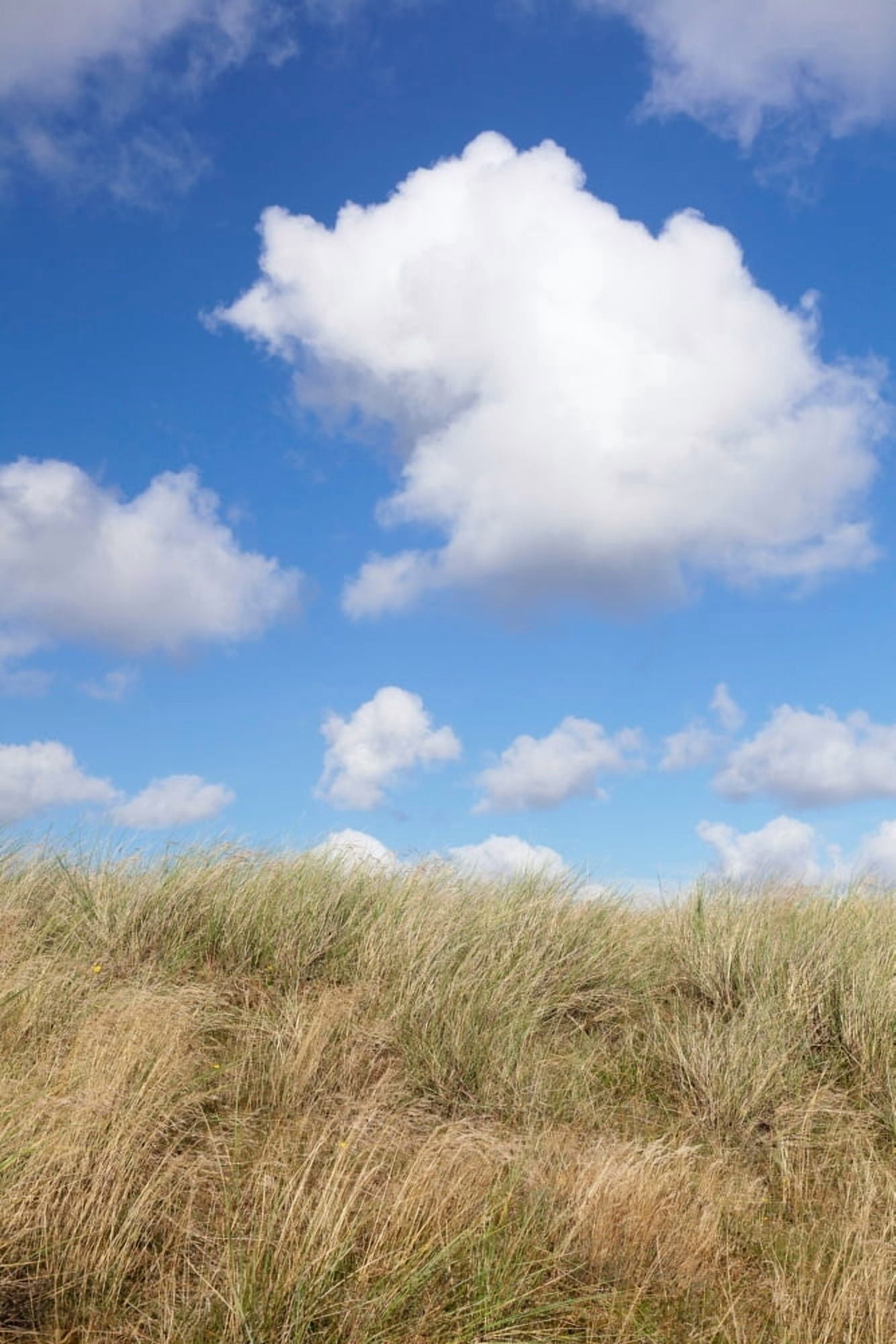 Cumulus clouds and dune landscape Ellenbogen Sylt Nordfriesland Schleswig-Holstein Germany Canvas Art - Panoramic Images (36 x 12)