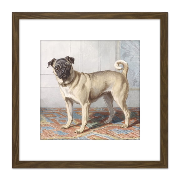 Cunaeus Portrait Edwin Vom Rath's Pug Dog Painting 8X8 Inch Square Wooden Framed Wall Art Print Picture with Mount